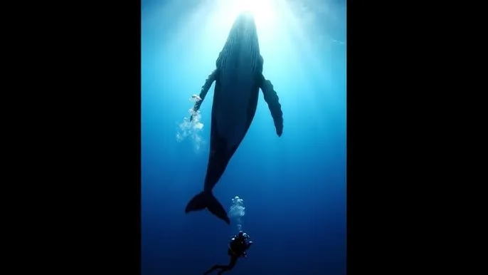 国产精品 - 深蓝星球剧照