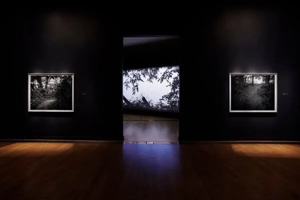 国产精品 - 记忆守护者纪录片